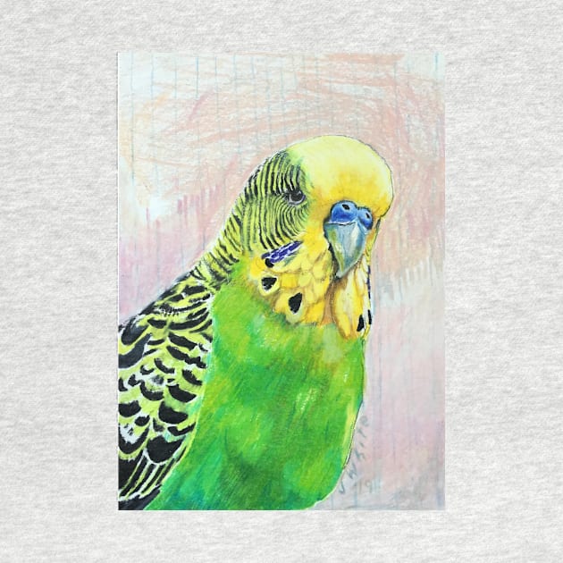 Dean, the green Budgie by jenesaiscluck